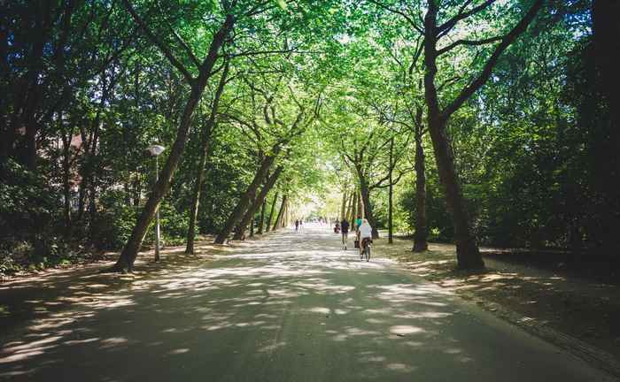 Fietsers in het Vondelpark